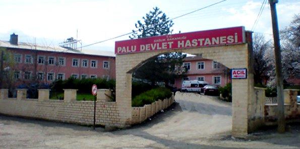 Palu Devlet Hastanesi