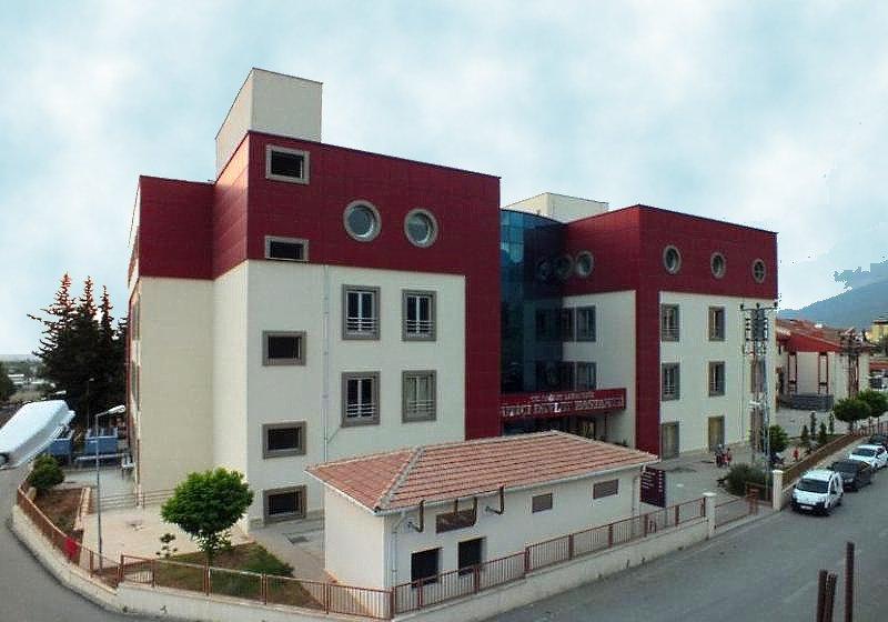 Dzii Devlet Hastanesi